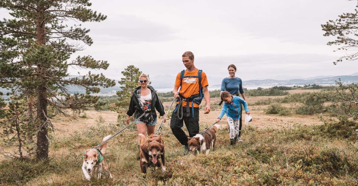 Tromsø: Husky Hike and Puppy Visit With Traditional Lunch - Good To Know