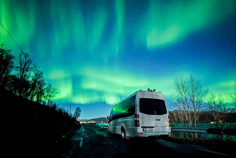 Tromsø: Northern Lights Chase Minibus Tour With Campfire - Good To Know