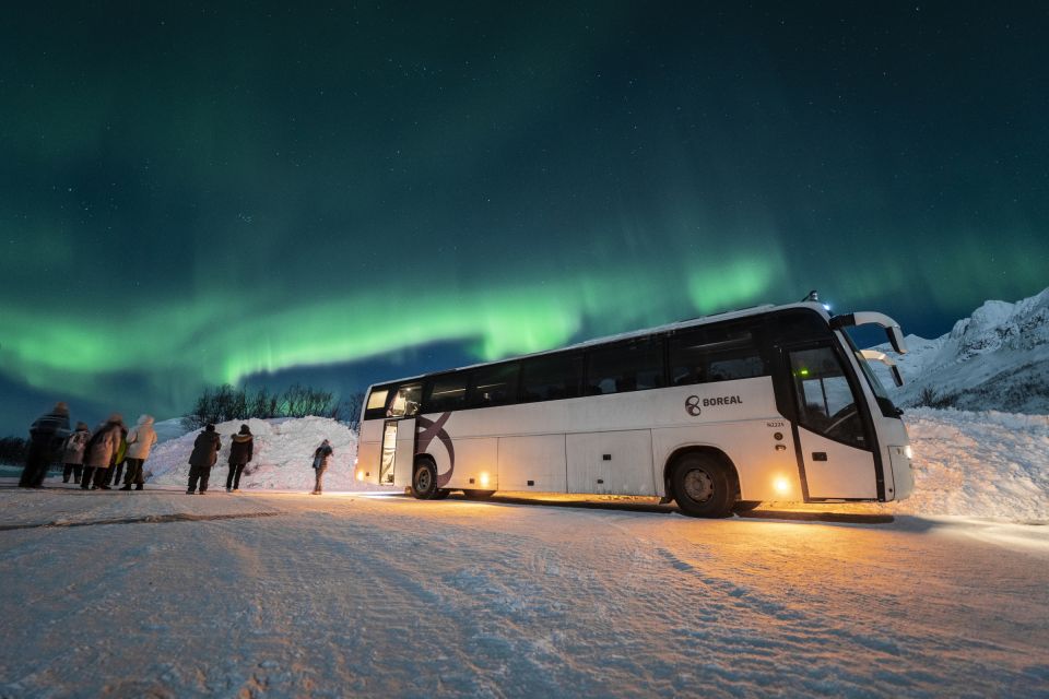 Tromsø: Northern Lights Guided Bus Tour - Good To Know