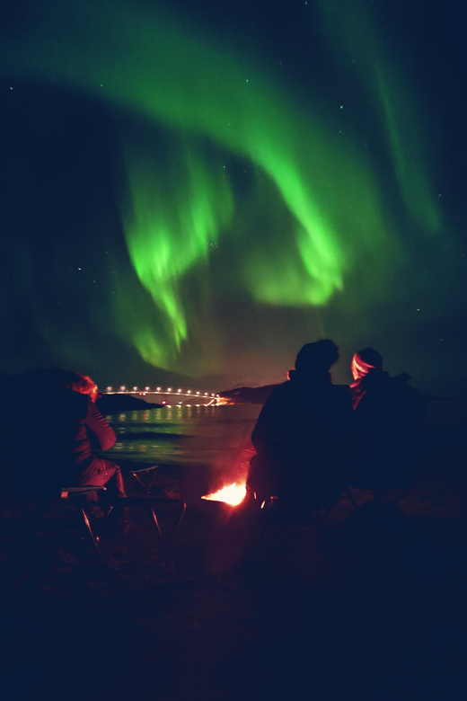 Tromsø: Northern Lights Guided Tour With Bonfire and Snacks