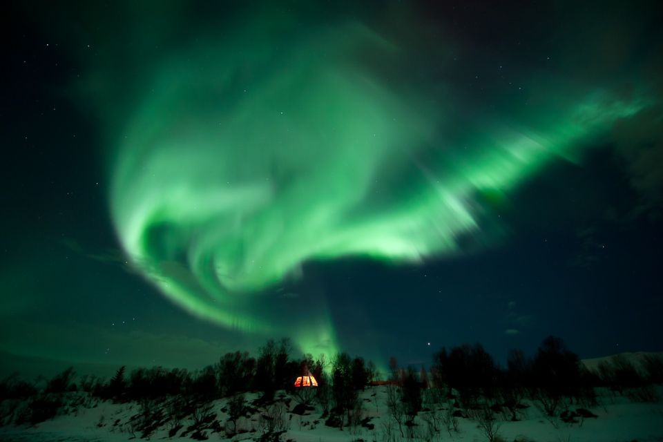 Tromsø: Northern Lights Husky Visit With Traditional Dinner - Good To Know