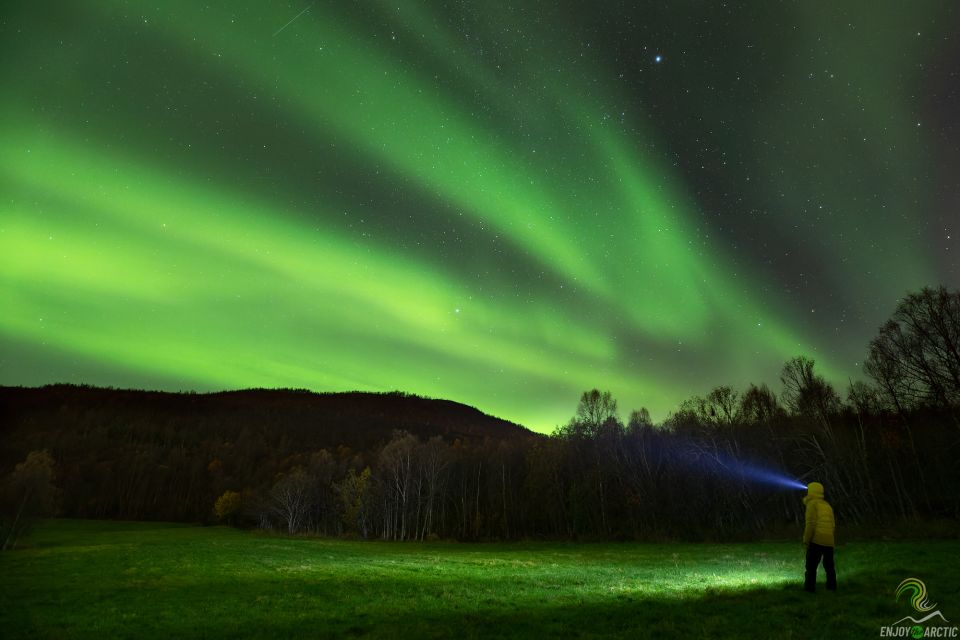 Tromsø: Northern Lights Trip With Campfire and Snacks