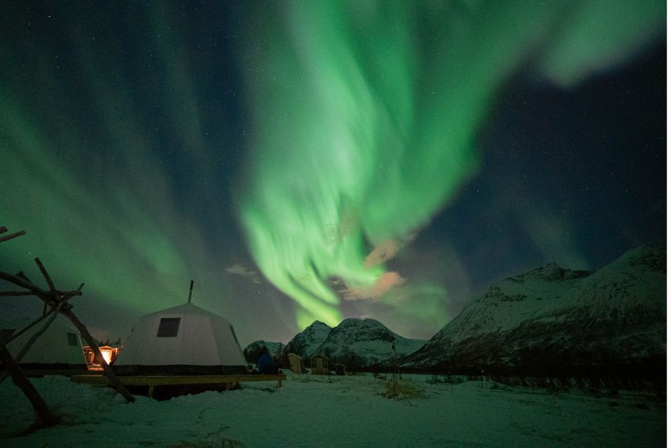 Tromsø: Reindeer Feeding & Chance of Northern Lights Viewing - Good To Know