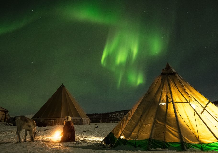 Tromsø: Reindeer Feeding With Chance of Northern Lights - Good To Know