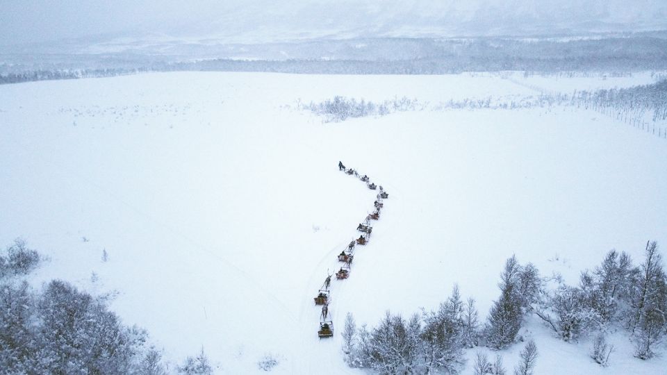 Tromsø: Sami Reindeer Sledding and Sami Cultural Tour - Good To Know