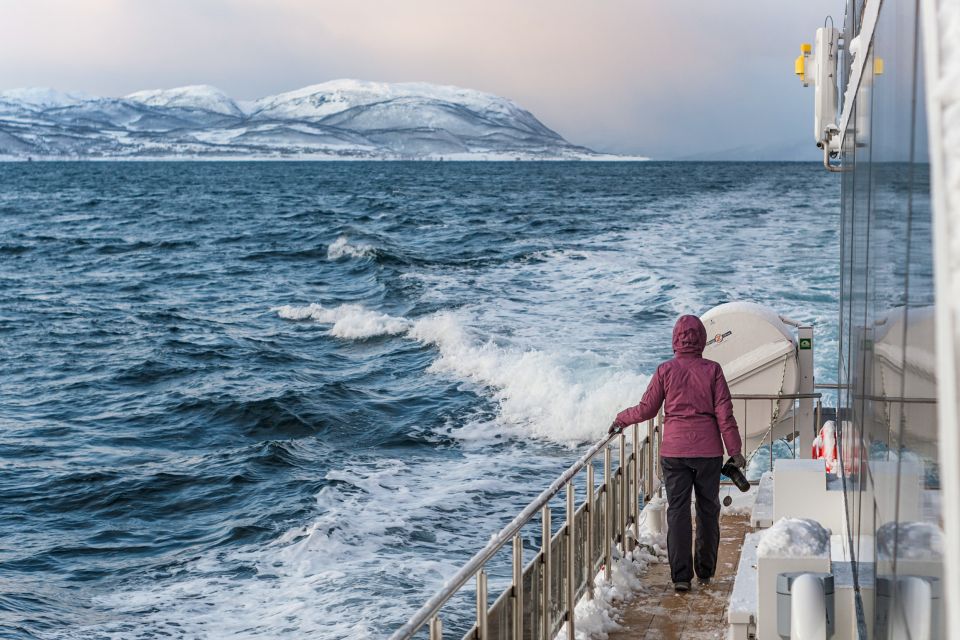 Tromsø: Whale Watching Tour by Hybrid-Electric Catamaran - Good To Know