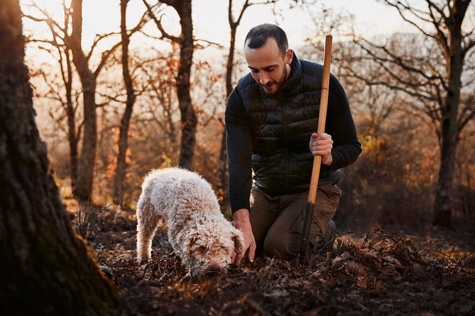 Truffle Hunting on Lake Bracciano With Lunch - Good To Know