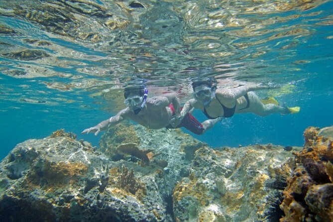 Two Stop Snorkel and Shipwreck From Dockyard - Overview of the Experience
