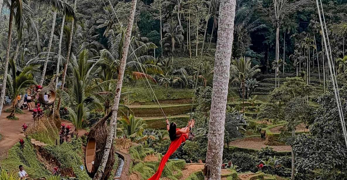 Ubud Best Attractions: Rice Terrace, Waterfall, Swing Tour - Key Points