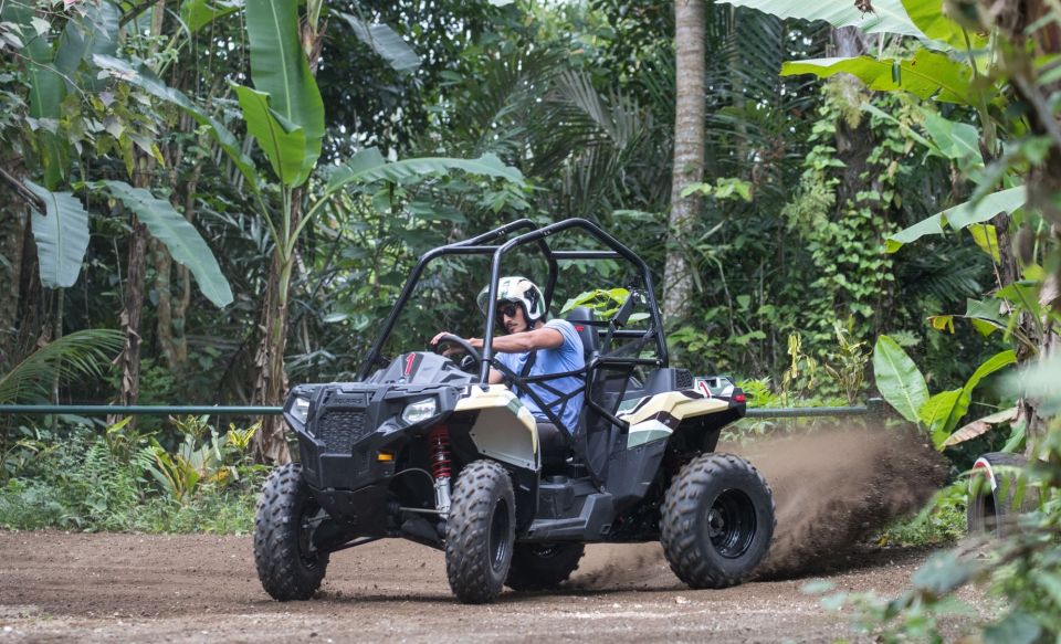 Ubud: Full-Day Mountain Biking and Jungle Buggy Experience - Key Points