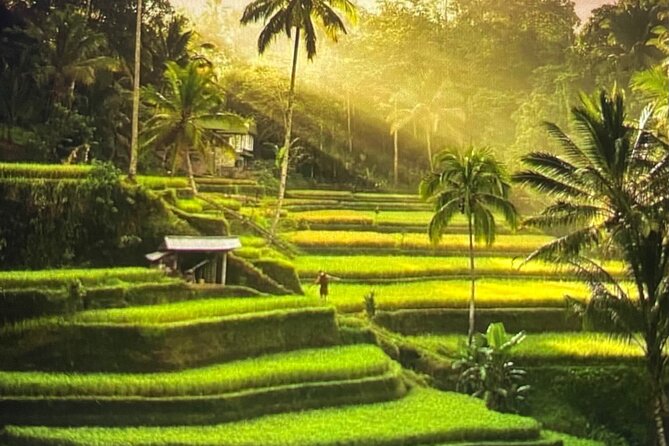 Ubud Highlight Rice Terrace,Waterfall,Temple and Art Village - Key Points