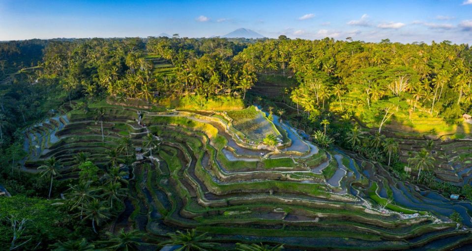 Ubud Highlight With Culture Tour - Key Points