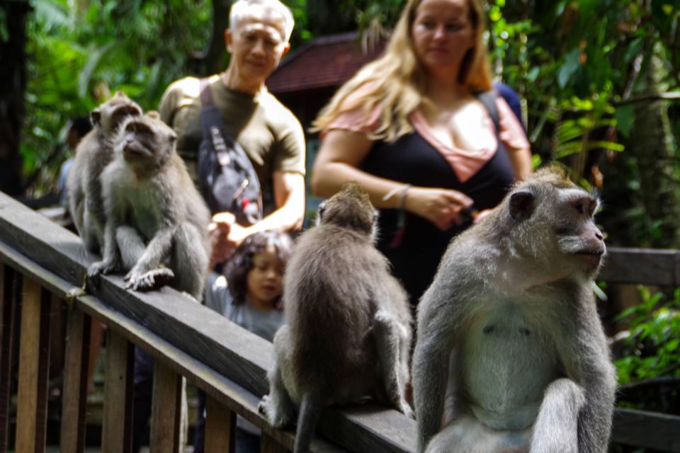 Ubud Monkey Forest, Waterfall, Temple and Rice Terrace Tour - Key Points