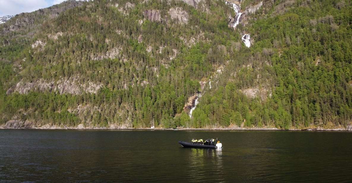 Ulvik Fjord Cruise: Scenic RIB Adventure to Osafjord - Good To Know