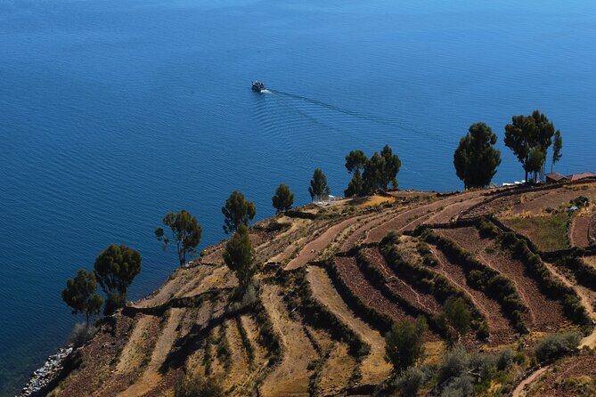 Uros Reed Floating Islands & Taquile Island Titicaca Puno Full Day - Tour Overview