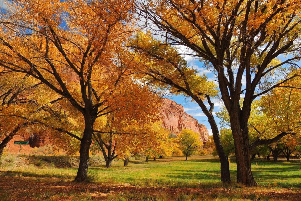 Utah: Capitol Reef National Park Self-Driving Audio Tour - Key Points