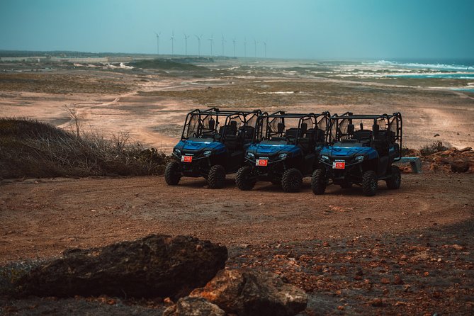 UTV 4 Seat 8 Hour Rental - Overview of UTV Rental