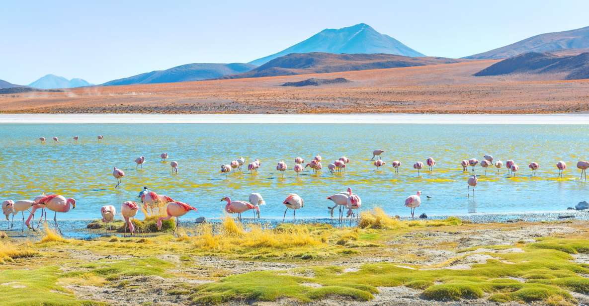 Uyuni Salt Flats and Red Lagoon 3-Days | English in Guide | - Key Points