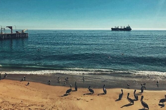 Valparaiso and Viña Del Mar Tour and Casa Blanca Valley Wine Shop - Tour Highlights