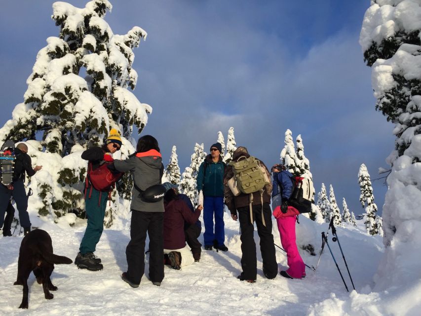 Vancouver: Panoramic View Hiking Tour - Key Points