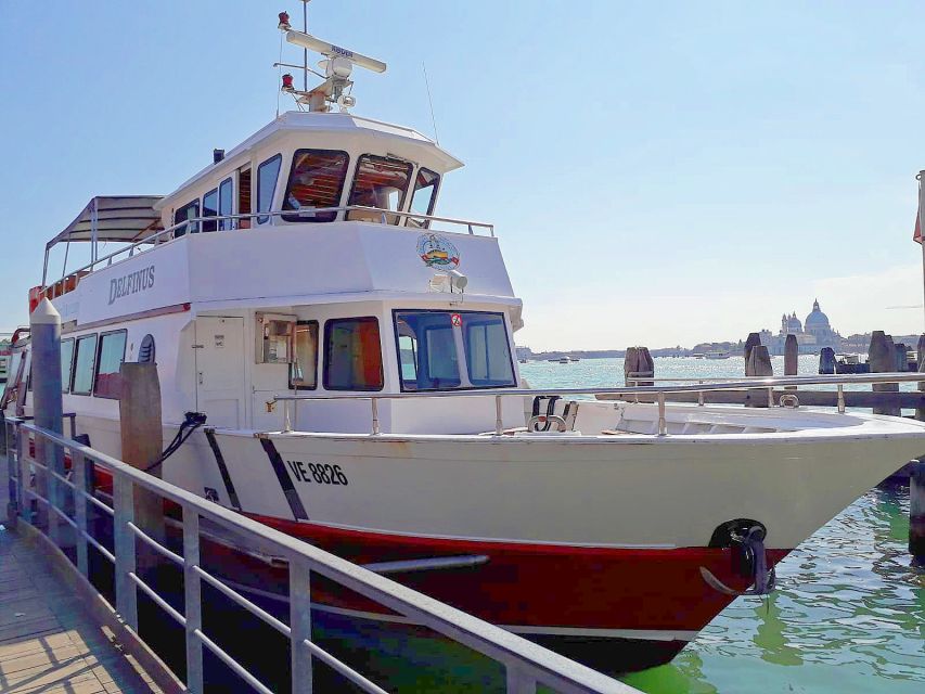 Venice: Murano & Burano Panoramic Boat Tour W/ Glassblowing - Key Points