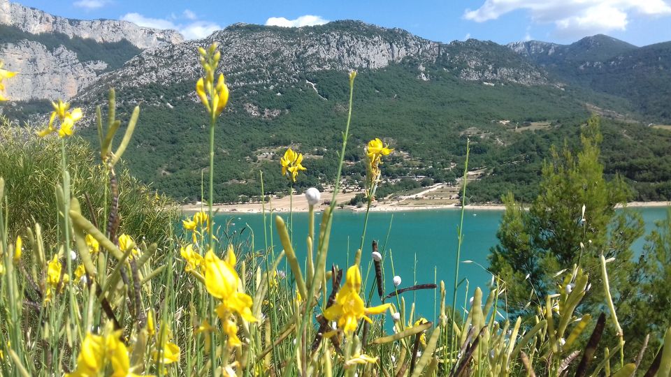 Verdon Gorge: the Grand Canyon of Europe, Lake and Lavender - Key Points