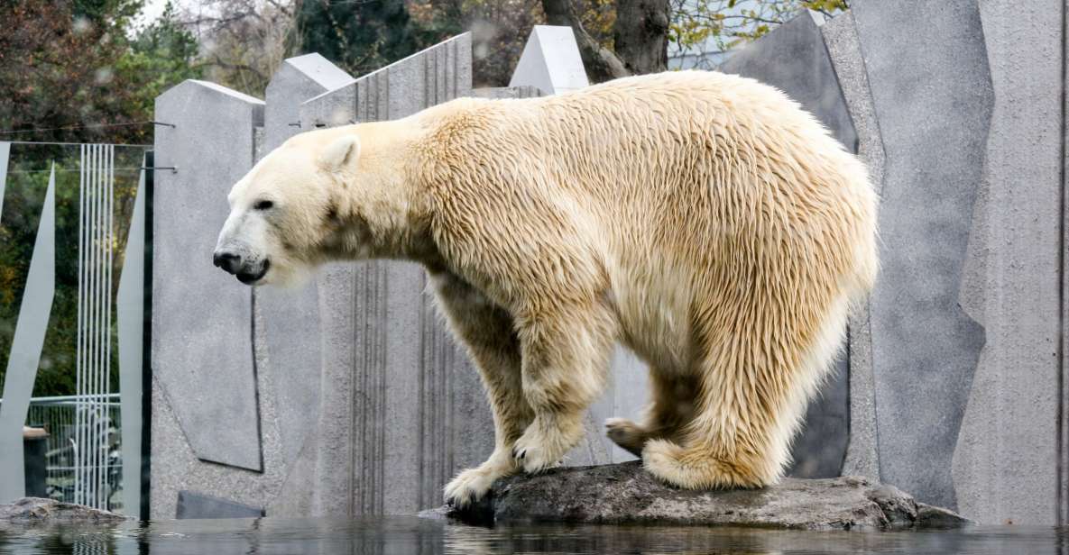 Vienna: Zoo With Private Flexible Transfers and Tickets - Good To Know