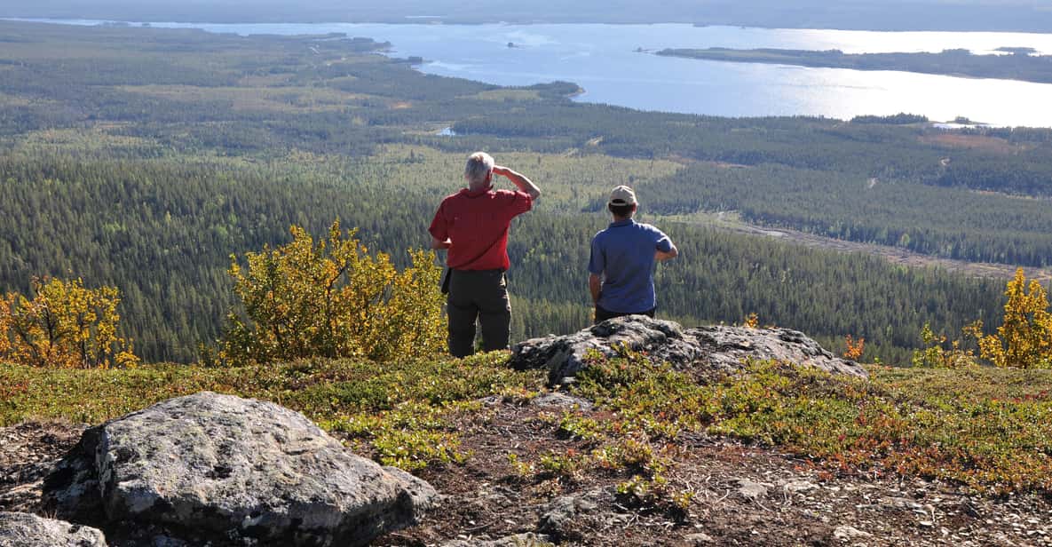 Vindelfjäll Nature Reserve: a Walk Through Reindeer Country - Key Points