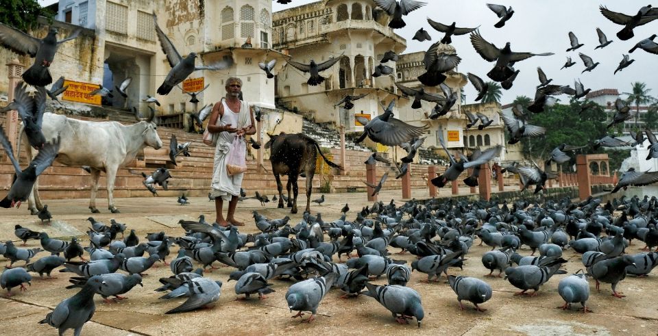 Visit Pushkar With Bikaner Drop From Jaipur - Key Points