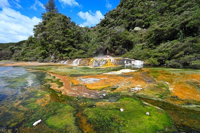 Volcanic Valley Self Guided Walking and Hiking at Waimangu - Key Points