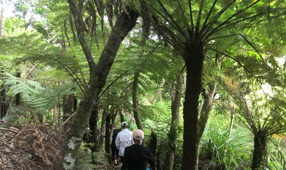 Waiheke Island: 5-Day Self-Guided Te Ara Hura Walk - Key Points