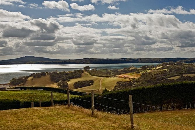 Waiheke Island Art Tour - Key Points