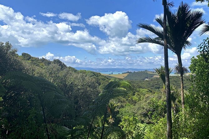 Waiheke Island Private Bush and Beach Walk - Key Points