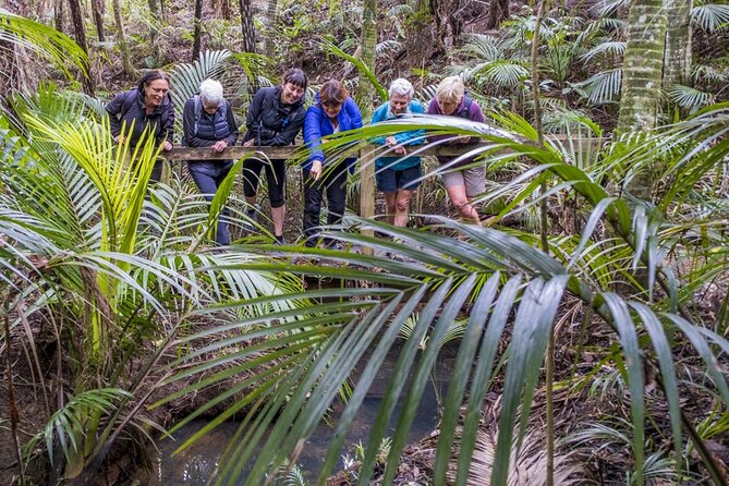 Waiheke Island Private Forest Therapy Walk - Key Points