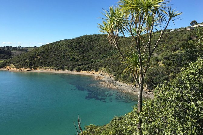 Waiheke Island Private Guided Te Ara Hura Walk - Key Points