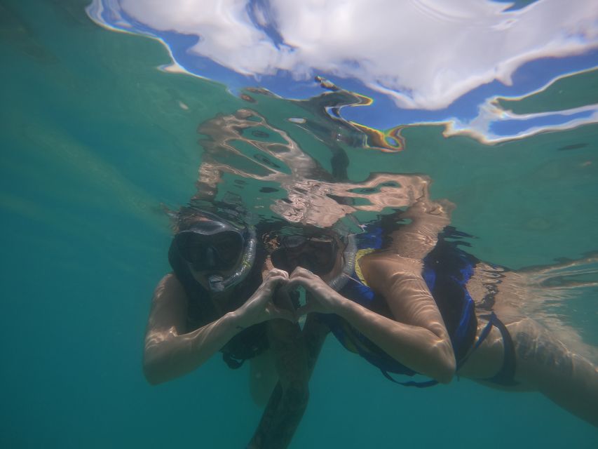 Waikiki: Honolulu Beginner Snorkeling Tour With Videos - Key Points