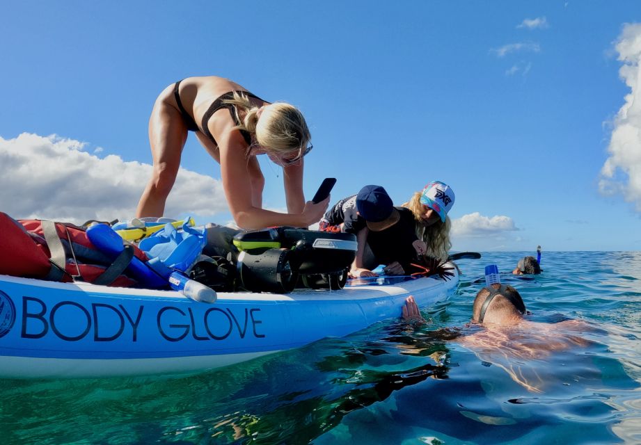 Wailea Beach: Snorkeling Tour for Non-Swimmers & Beginners - Key Points