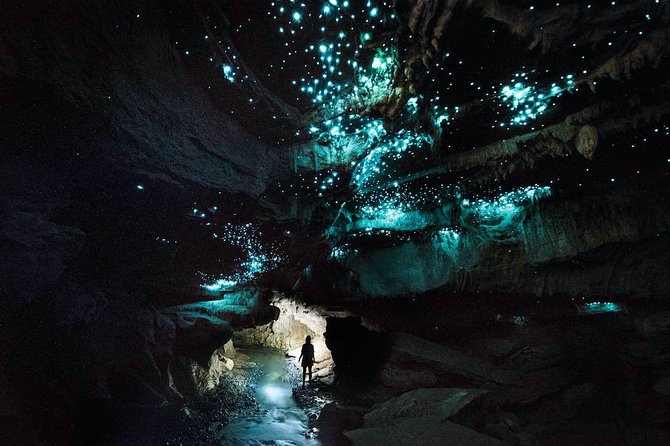 Waitomo - Eco Adventure Glowworm Cave Tour - Off the Beaten Track - Key Points