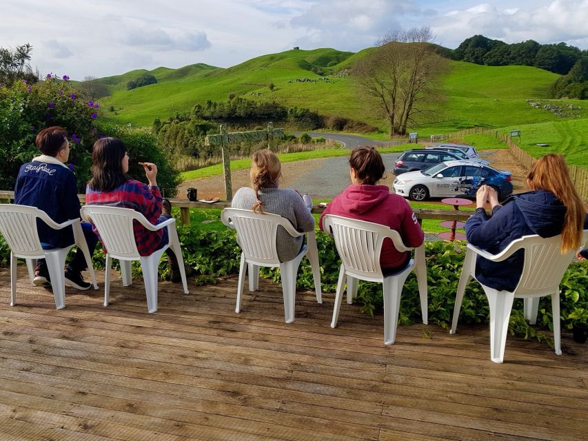 Waitomo: Guided Eco-Cave Tour - Key Points