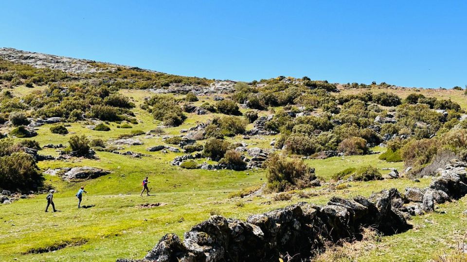 Walk & Picnic Peneda-Gerês National Park - Guided - Key Points