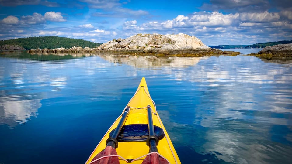 West Sweden: Paddle With Seals - Key Points