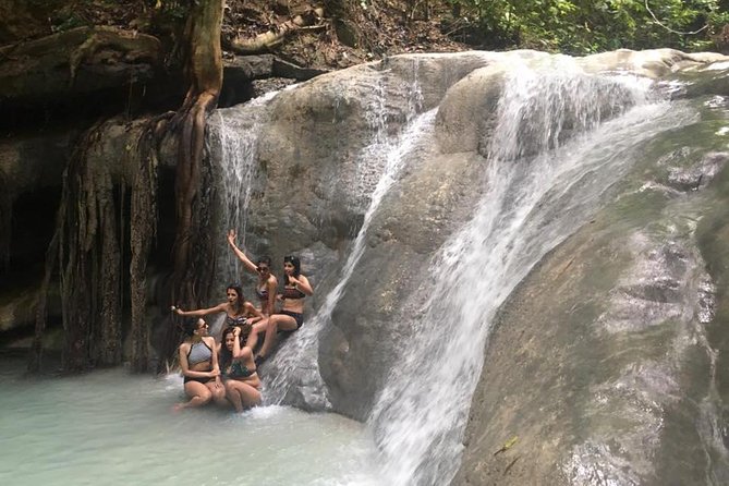 Whale Shark Swimming Experience and Aguinid Falls From Cebu - Overview of Whale Shark Experience