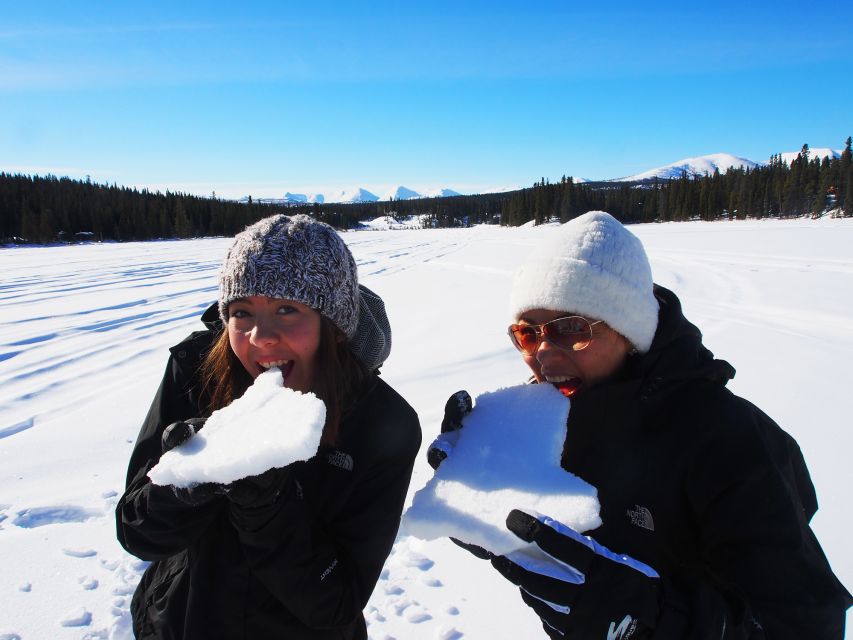 Whitehorse: Half-Day Snowshoeing Tour - Key Points