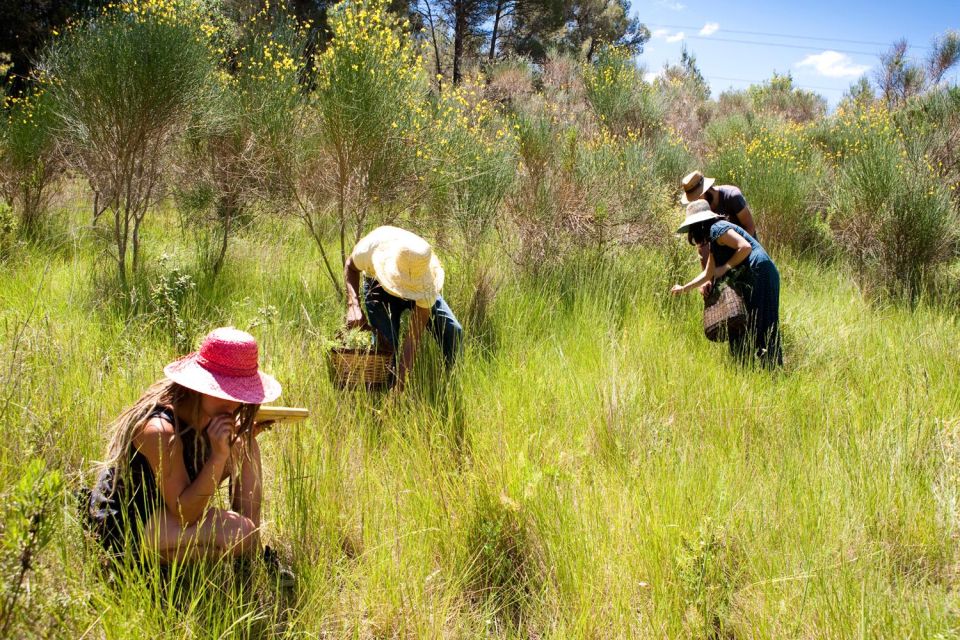 Wild Experience: Discover, Cook & Eat the Local Wild Flora - Key Points