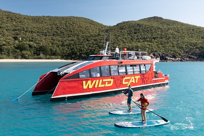 Wildcat Mackay - Key Points