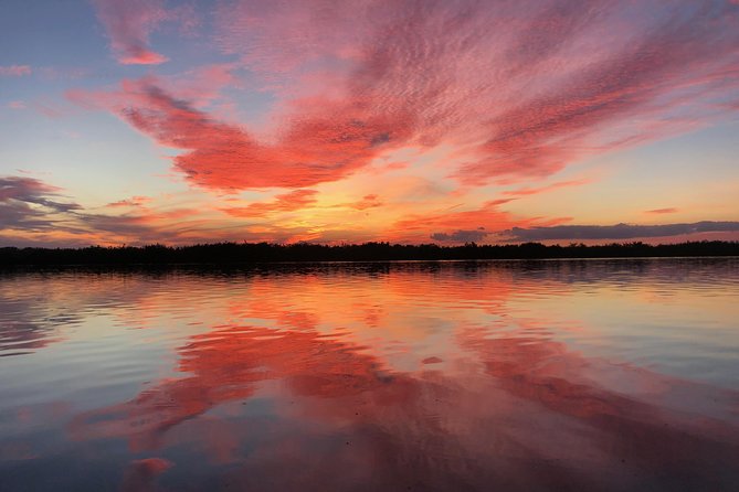 Wildlife Tour of Indian River Lagoon With Experienced Captain - Tour Overview