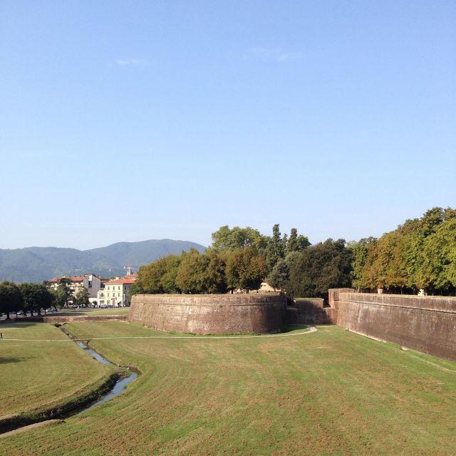 Wine and History: Visit Pisa and Lucca, From La Spezia - Key Points