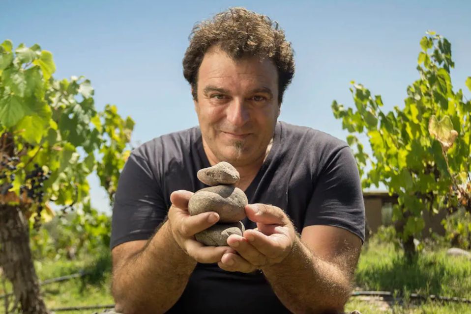 Wine Idols: Meet El Enemigo by Alejandro Vigil - Key Points