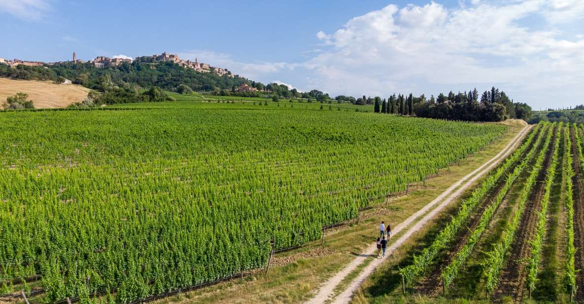 Wine Lovers Experience in Montepulciano: Half Day - Key Points