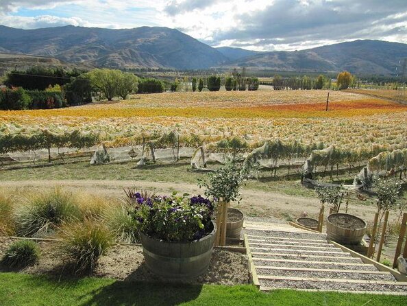 Wine Tasting Adventure Wanaka and Beyond - Key Points